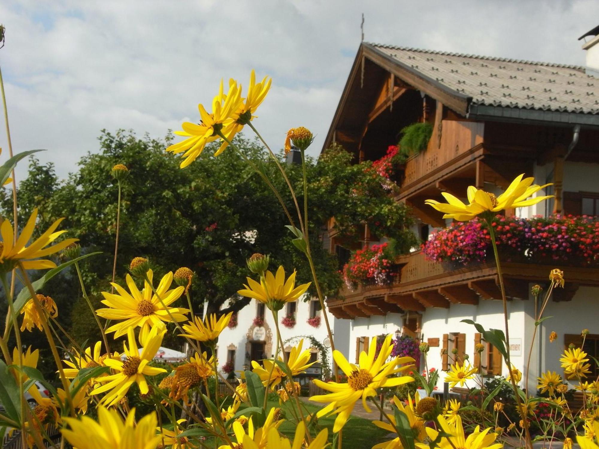 Hofbauer Villa Itter Kültér fotó