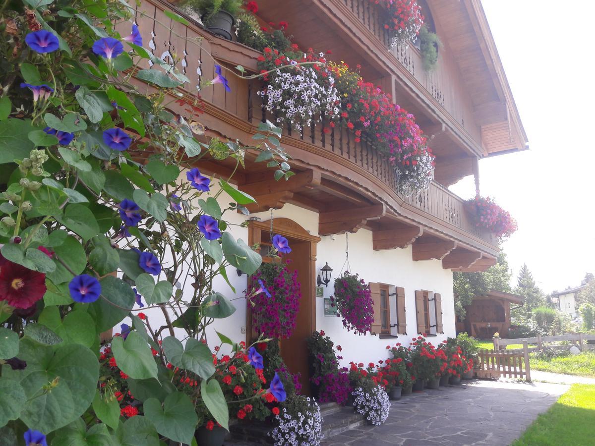 Hofbauer Villa Itter Kültér fotó
