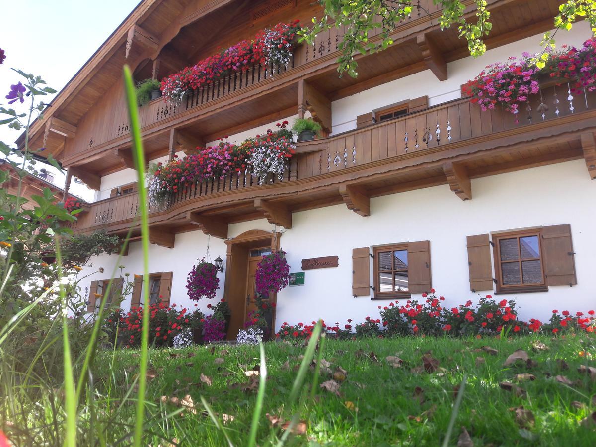 Hofbauer Villa Itter Kültér fotó