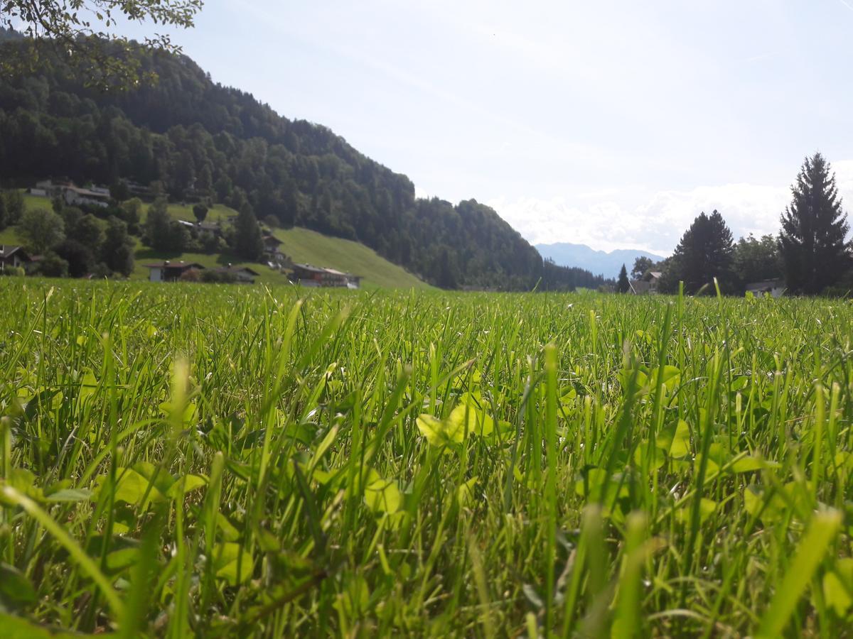 Hofbauer Villa Itter Kültér fotó
