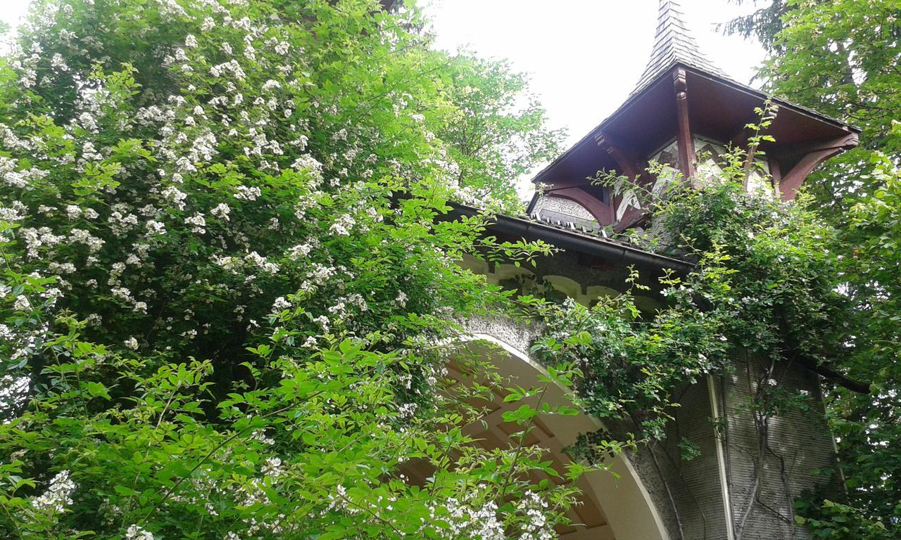 Hofbauer Villa Itter Kültér fotó